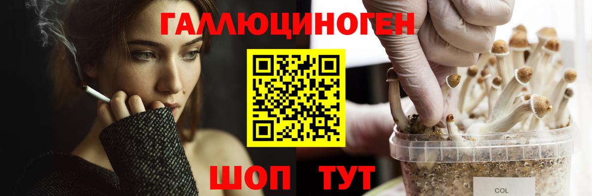 Галлюциногенные грибы мухоморы Дмитров